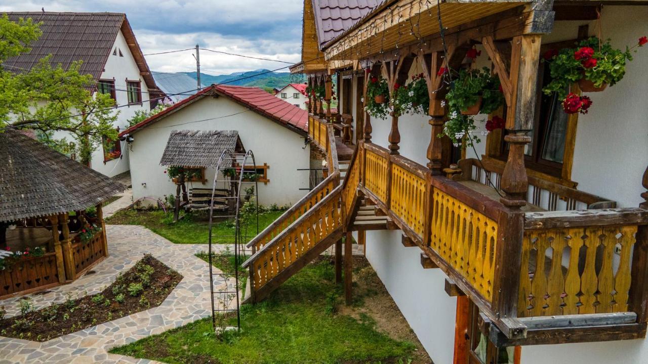 Guest house Pensiunea Casa Traditiilor Ieud